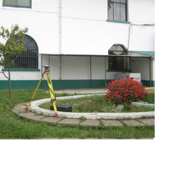 CARA (CONSTITUCIÓN)