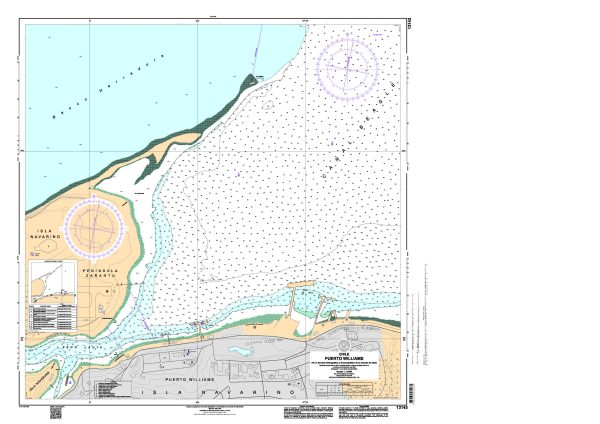CARTA SHOA N° 13143 PUERTO WILLIAMS